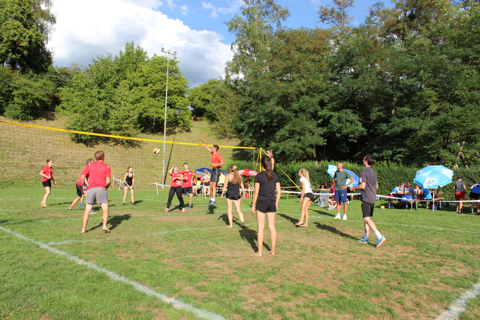 Volley  (129)